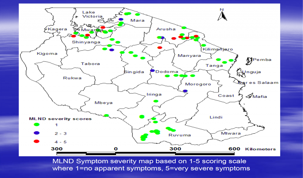 MARI Tanzania MLN survey 2016